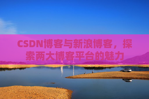 CSDN博客与新浪博客，探索两大博客平台的魅力